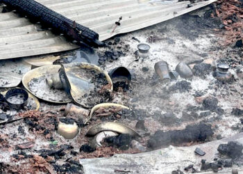 विद्युत् सर्टसर्किटबाट दुई ठाउँमा आगलागी, चार पशुचौपायाको मृत्यु
