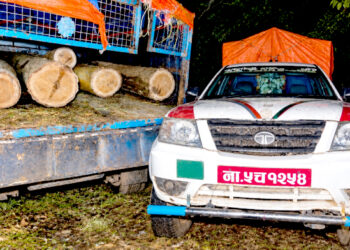 पर्सागढीमा अवैध सालको काठ तस्करी, पिकअपसहित चालक पक्राउ