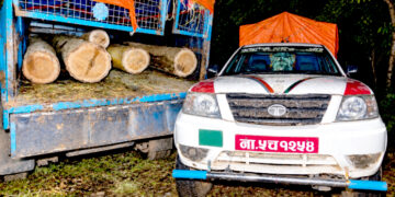 पर्सागढीमा अवैध सालको काठ तस्करी, पिकअपसहित चालक पक्राउ