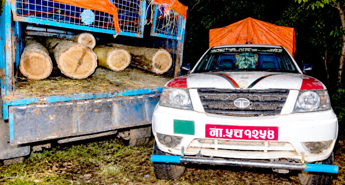 पर्सागढीमा अवैध सालको काठ तस्करी, पिकअपसहित चालक पक्राउ