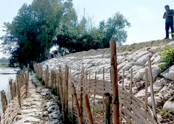 वर्षौँदेखि बाढीको मार, परोहावासीलाई राहत दिन जैविक तटबन्धः स्थायी समाधान अझै अनिश्चित !