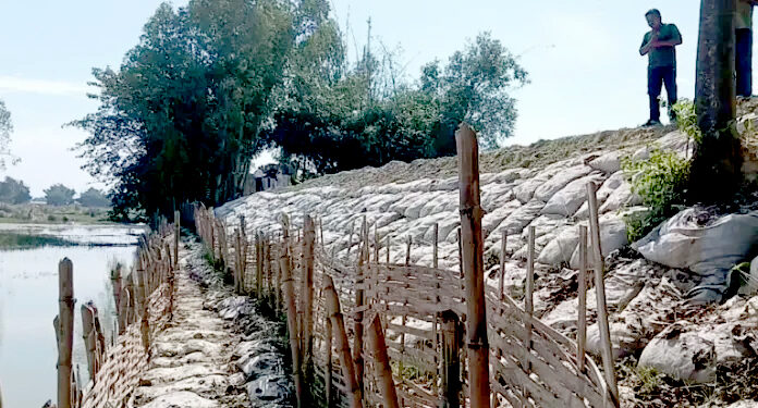 वर्षौँदेखि बाढीको मार, परोहावासीलाई राहत दिन जैविक तटबन्धः स्थायी समाधान अझै अनिश्चित !